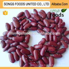 Chinesische kleine rote Kidneybohnen in alibaba